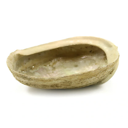 18cm white sage pure leaf bundle, 70g weight, for 2-hour space purification and crystal cleansing