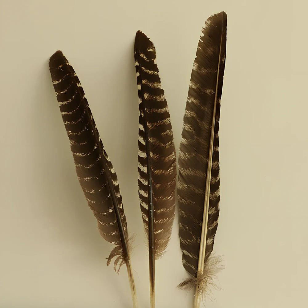 18cm white sage pure leaf bundle, 70g weight, for 2-hour space purification and crystal cleansing