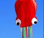 Captivating 4-meter Octopus Kite with vibrant colors and streamlined design for impressive aerial displays.