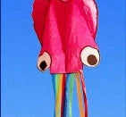 Captivating 4-meter Octopus Kite with vibrant colors and streamlined design for impressive aerial displays.