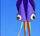 Captivating 4-meter Octopus Kite with vibrant colors and streamlined design for impressive aerial displays.