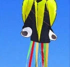 Captivating 4-meter Octopus Kite with vibrant colors and streamlined design for impressive aerial displays.