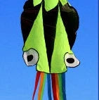 Captivating 4-meter Octopus Kite with vibrant colors and streamlined design for impressive aerial displays.