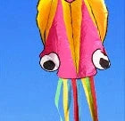 Captivating 4-meter Octopus Kite with vibrant colors and streamlined design for impressive aerial displays.