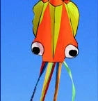 Captivating 4-meter Octopus Kite with vibrant colors and streamlined design for impressive aerial displays.