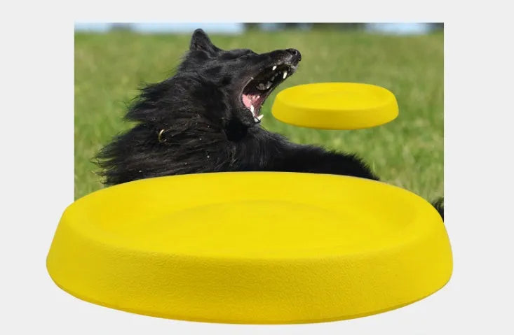 Pet dog throwing toy plastic fetch stick for training made from EVA material in yellow colour weighing 70g for interactive play and bonding activities with dogs