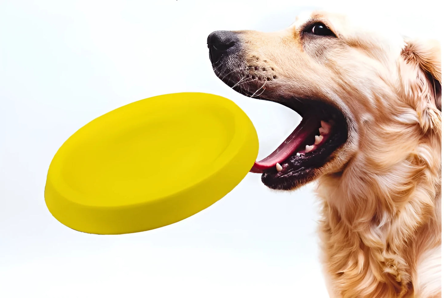 Yellow EVA plastic dog throwing toy for training weighing 70 grams