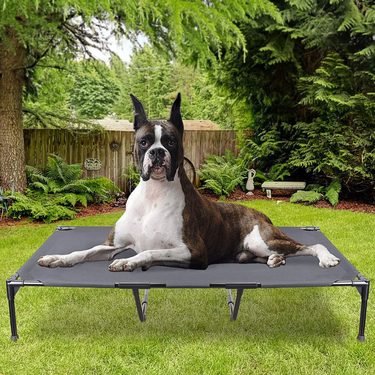 Large elevated pet camping bed with stainless steel frame in dark grey, available in L and XL sizes