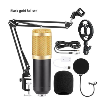 BM800 condenser microphone with V8 sound card, cantilever bracket, shock frame, and blowout prevention accessories for computer recording