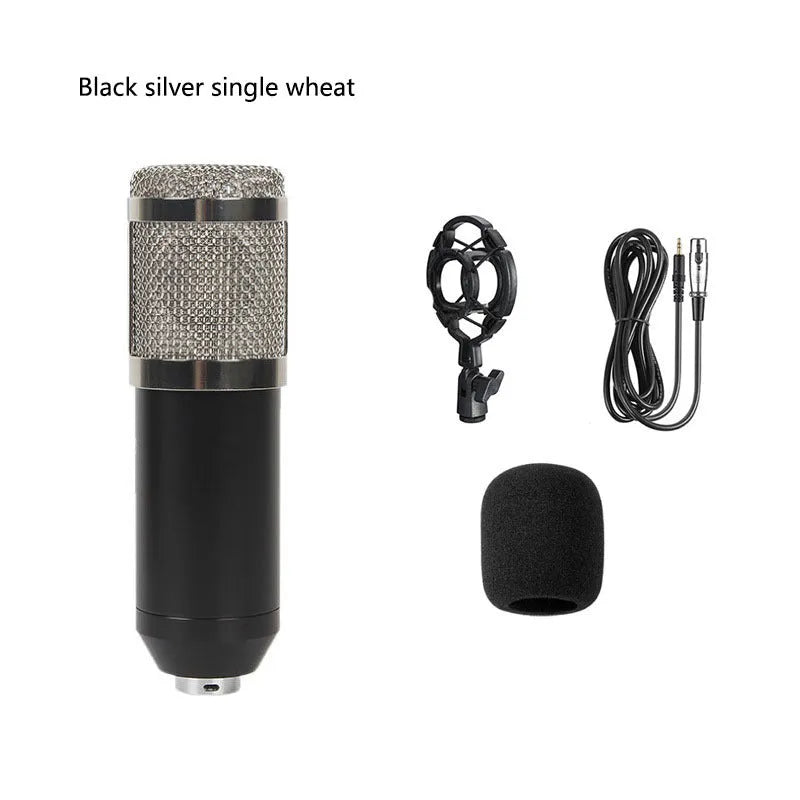 BM800 condenser microphone with V8 sound card, cantilever bracket, shock frame, and blowout prevention accessories for computer recording