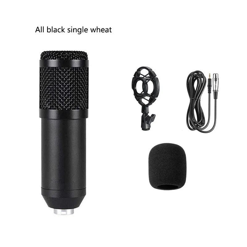 BM800 condenser microphone with V8 sound card, cantilever bracket, shock frame, and blowout prevention accessories for computer recording