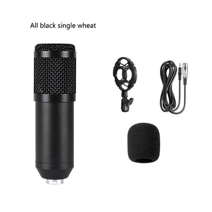 BM800 condenser microphone with V8 sound card, cantilever bracket, shock frame, and blowout prevention accessories for computer recording