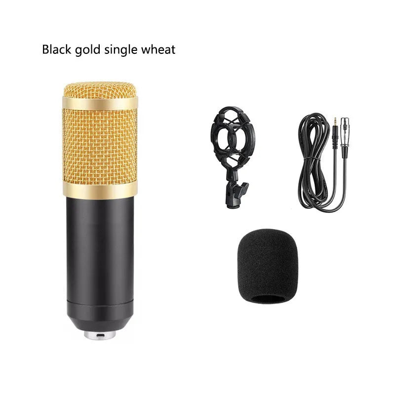 BM800 condenser microphone with V8 sound card, cantilever bracket, shock frame, and blowout prevention accessories for computer recording