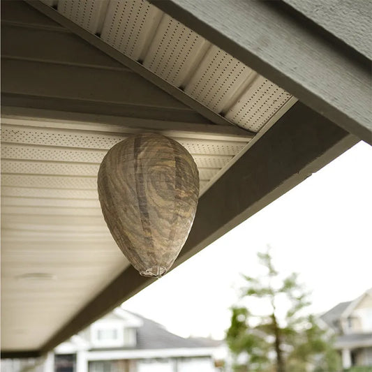 Beehive lantern 22x28cm with paper and wire construction in photo colour