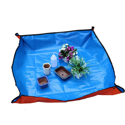 Succulent gardening tools set showing tweezers, spray bottle, sprouting tray, and bundling lines for plant care