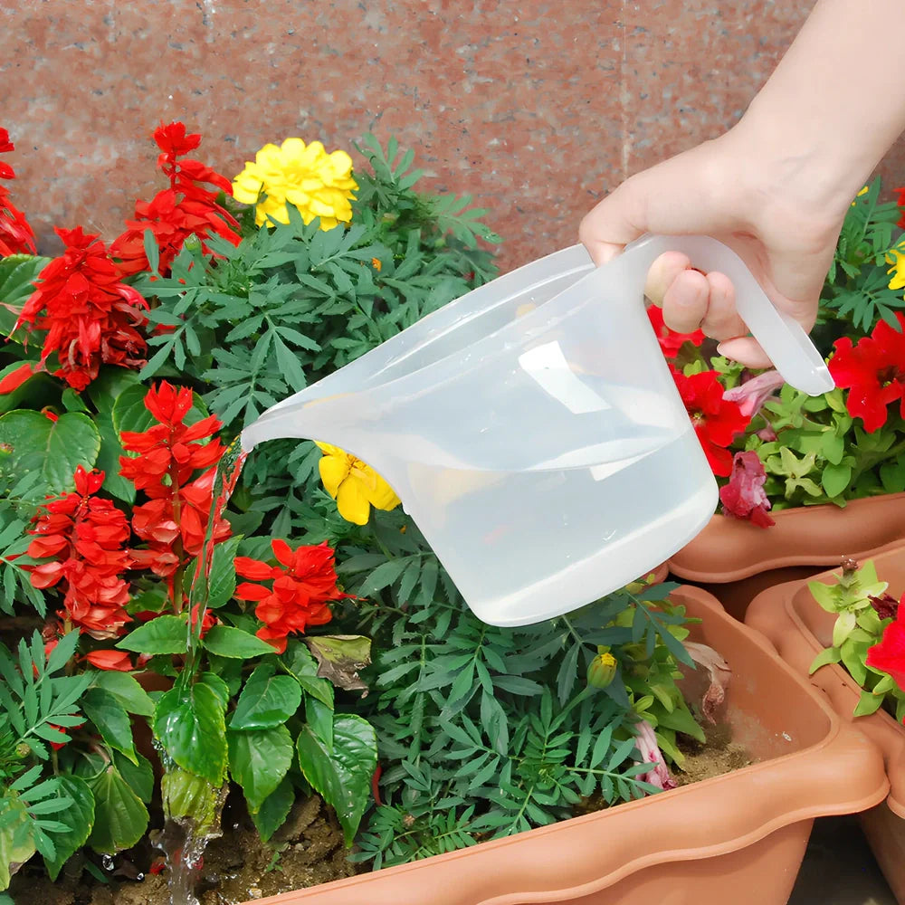 Succulent gardening tools set showing tweezers, spray bottle, sprouting tray, and bundling lines for plant care