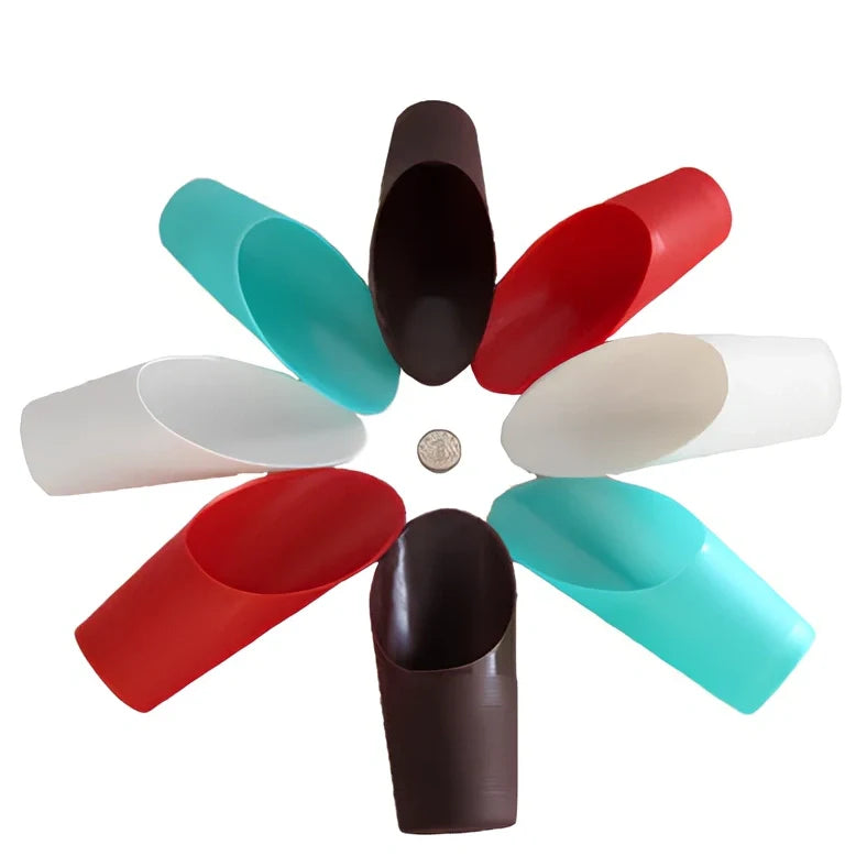 Succulent gardening tools set showing tweezers, spray bottle, sprouting tray, and bundling lines for plant care