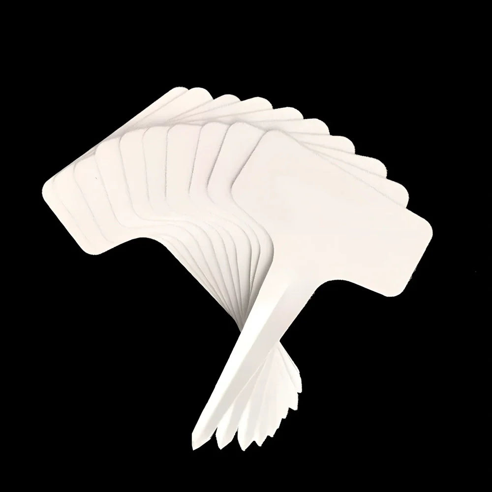 Succulent gardening tools set showing tweezers, spray bottle, sprouting tray, and bundling lines for plant care