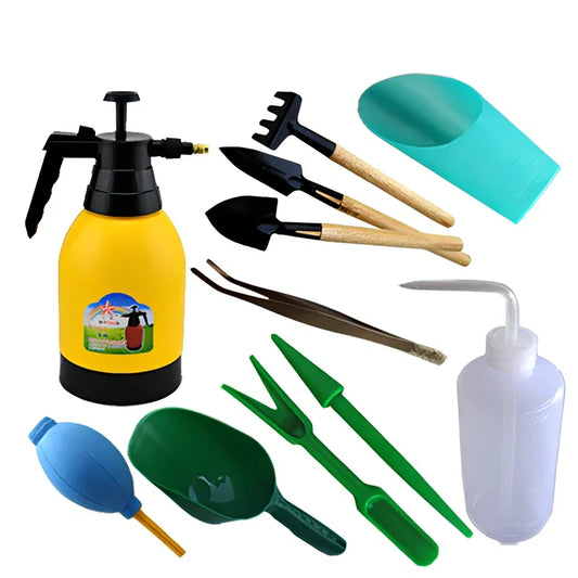 Succulent gardening tools set showing tweezers, spray bottle, sprouting tray, and bundling lines for plant care