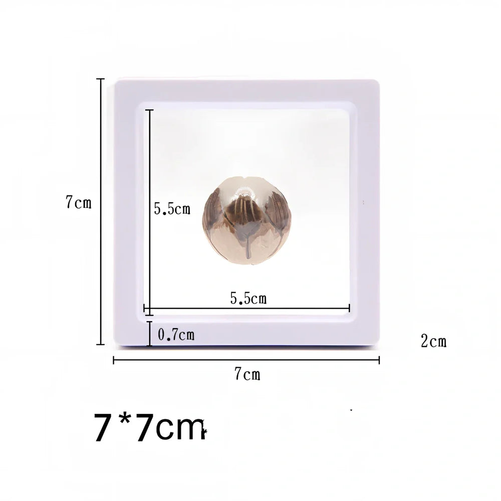 Black 11x11cm suspended 3D floating display frame holder with square base for coins and gems