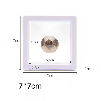Black 11x11cm suspended 3D floating display frame holder with square base for coins and gems