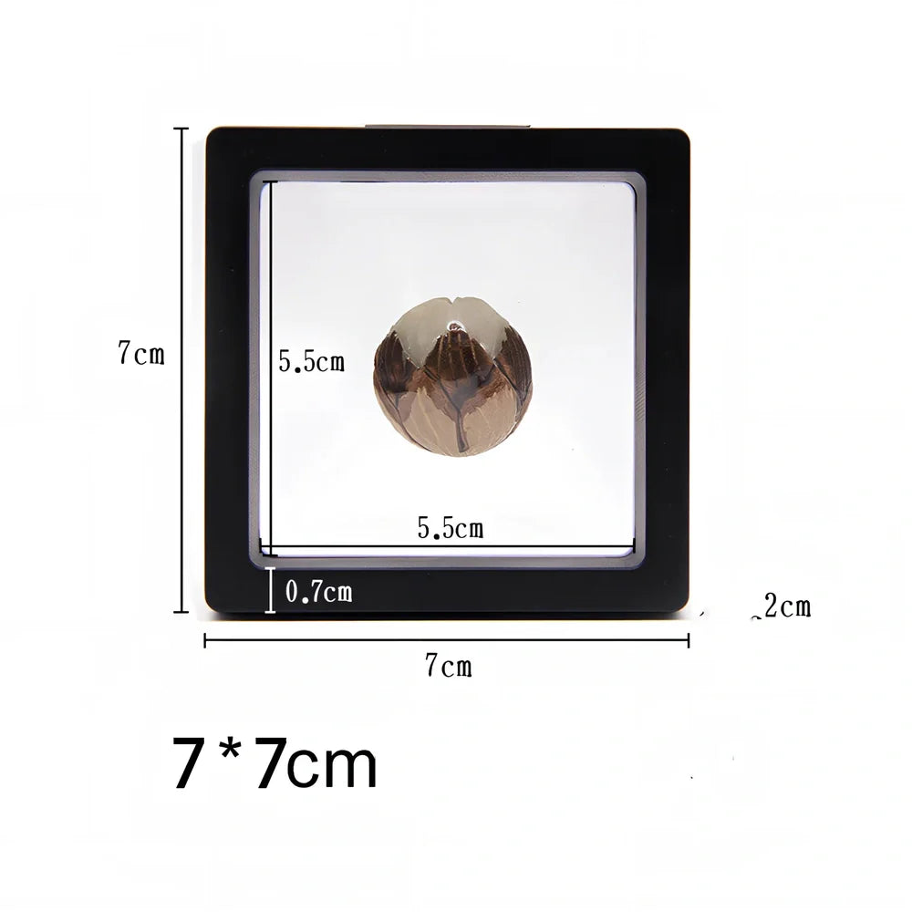 Black 11x11cm suspended 3D floating display frame holder with square base for coins and gems