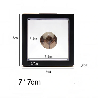 Black 11x11cm suspended 3D floating display frame holder with square base for coins and gems