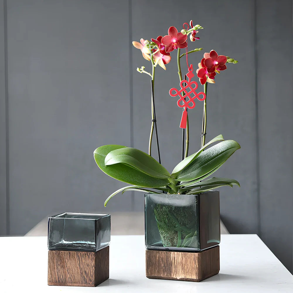 Transparent glass Chaumet vase, 15cm height, polished surface for modern flower arrangements in size S photo color