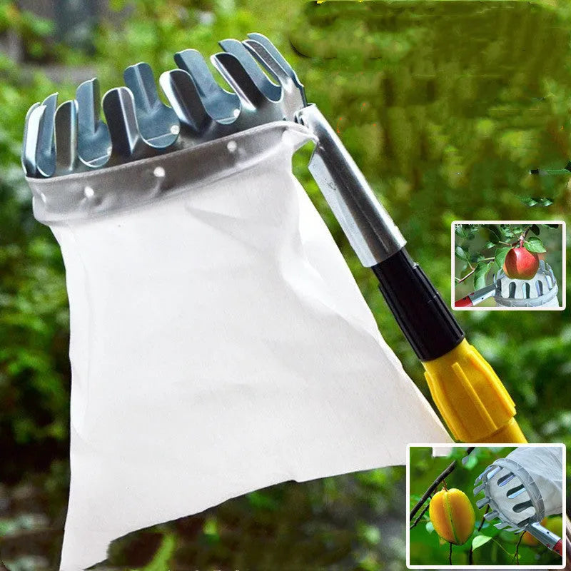 Steel frame fruit picker garden tool with a cloth bag catcher for picking citrus, pears, and peaches.
