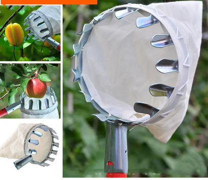 Steel frame fruit picker garden tool with a cloth bag catcher for picking citrus, pears, and peaches.