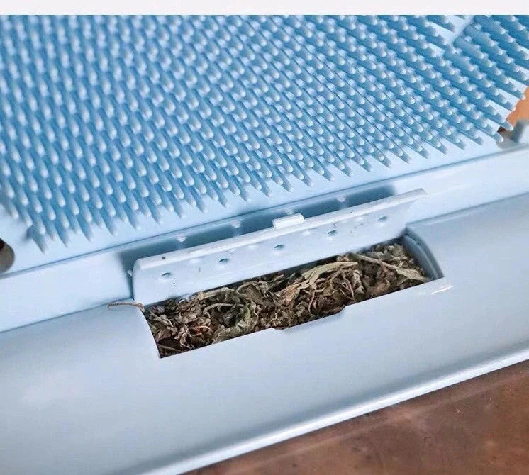 Cat Self Massage Brush with catnip for grooming and shed hair removal