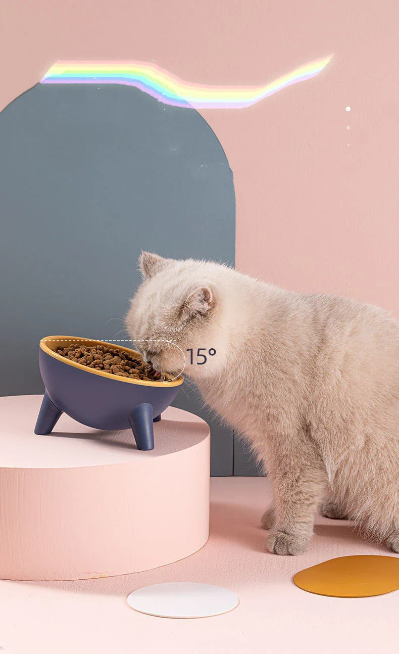 Tilted pet feeding bowls with sturdy stand in various colors, including green, yellow, red, and pink
