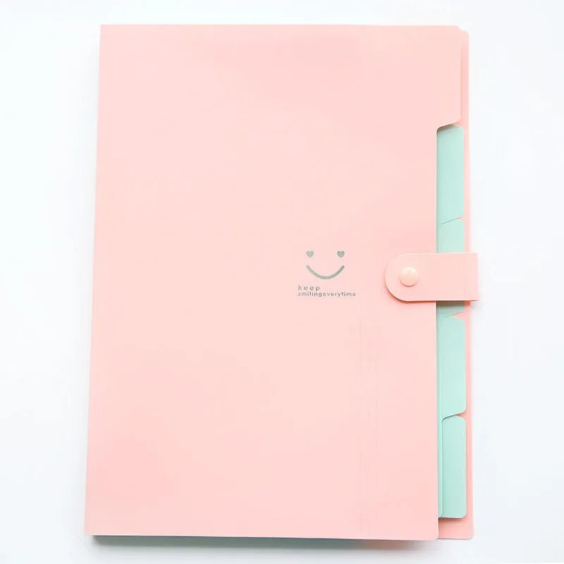 A4 plastic multi-page document folder with elastic closure, available in ten colours including black, pink, green, beige, lemon yellow, rose red, purple, sky blue, blue green and royal blue, sized 32.4 x 23.6 x 1.9 cm for secure A4 paper storage.