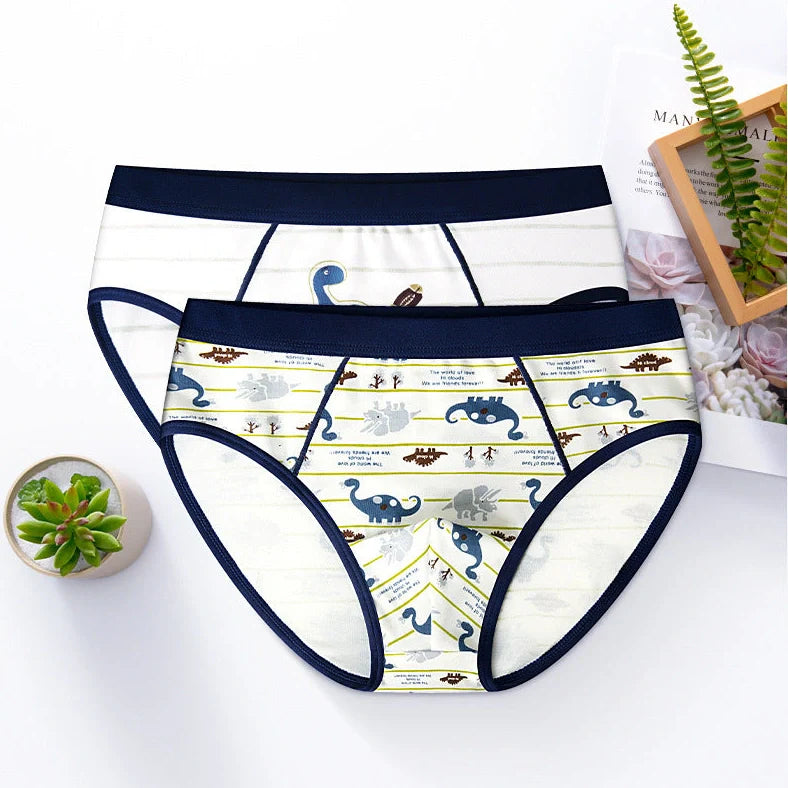 Boy's cotton underwear with dinosaur and seahorse designs in boxer brief and brief styles