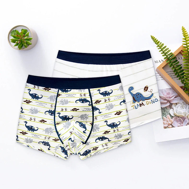 Boy's cotton underwear with dinosaur and seahorse designs in boxer brief and brief styles