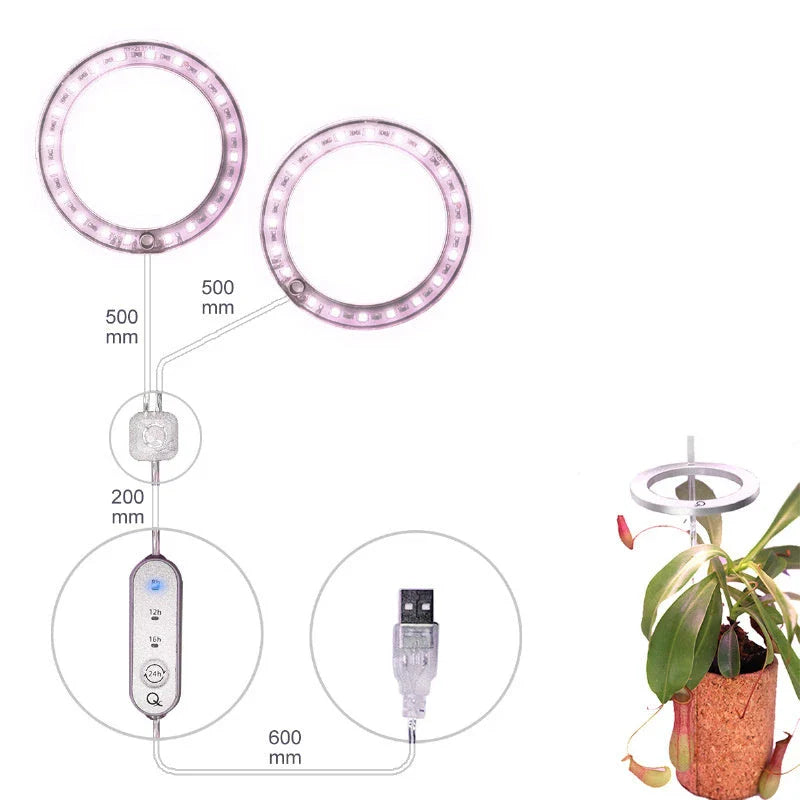 Full spectrum LED grow light with angel ring design for indoor plants, flowers, and seedlings