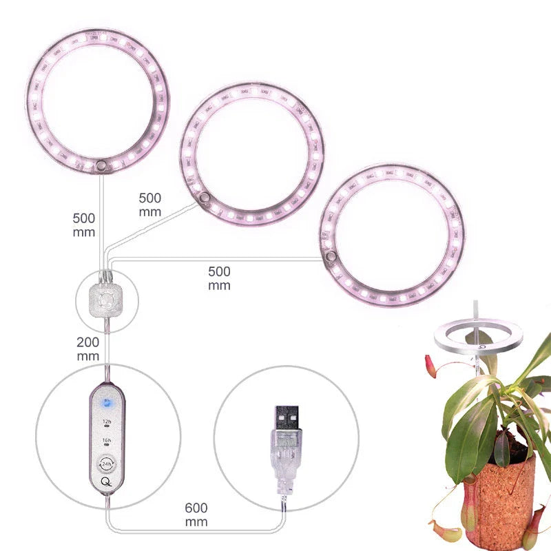 Full spectrum LED grow light with angel ring design for indoor plants, flowers, and seedlings