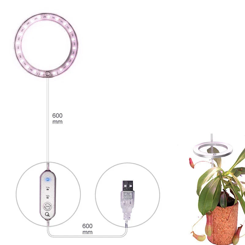 Full spectrum LED grow light with angel ring design for indoor plants, flowers, and seedlings