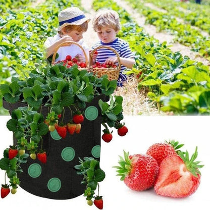 Breathable fabric vertical planter bag with 13 holes for easy plant monitoring and harvesting