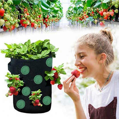 Breathable fabric vertical planter bag with 13 holes for easy plant monitoring and harvesting