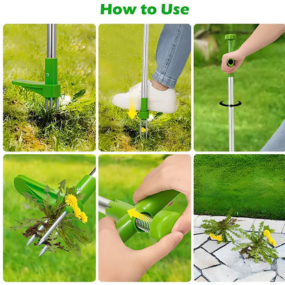Green long handle weed puller with aluminium shaft and steel claw for garden weeding
