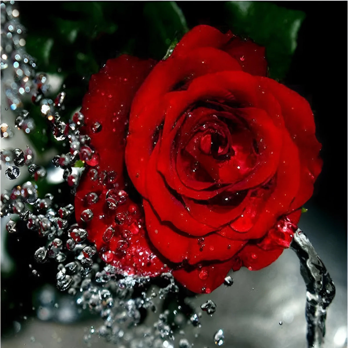 Hand-painted frameless red rose oil painting on 40x50cm linen canvas.