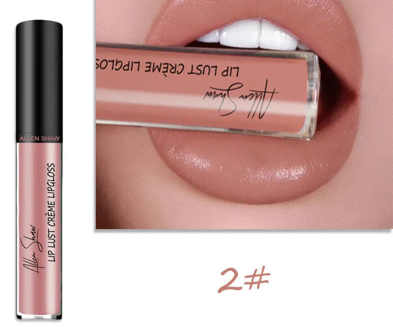 Silky cream texture lip gloss tube in various colour options from single to 12-piece set.