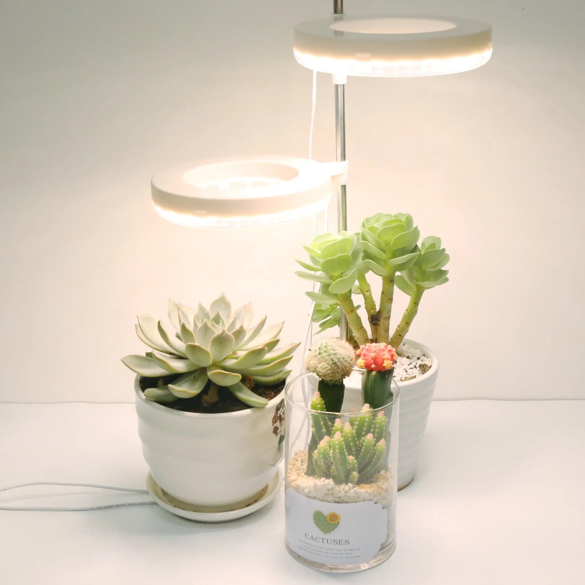 Desk plant growth lamp with full spectrum light, PC shell, and adjustable heads on 160x29mm base.