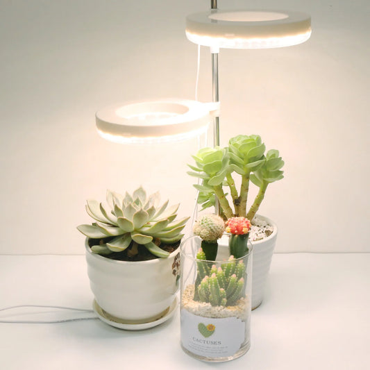 Desk plant growth lamp with full spectrum light, PC shell, and adjustable heads on 160x29mm base.