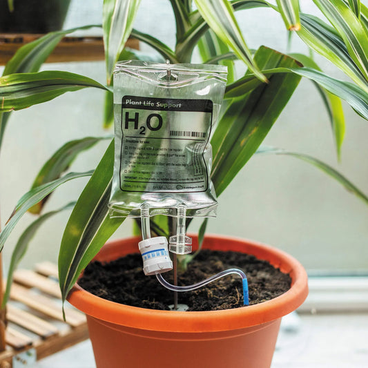 Drip irrigation watering bag for indoor plants, featuring a slow-release water system and compact, sustainable design.