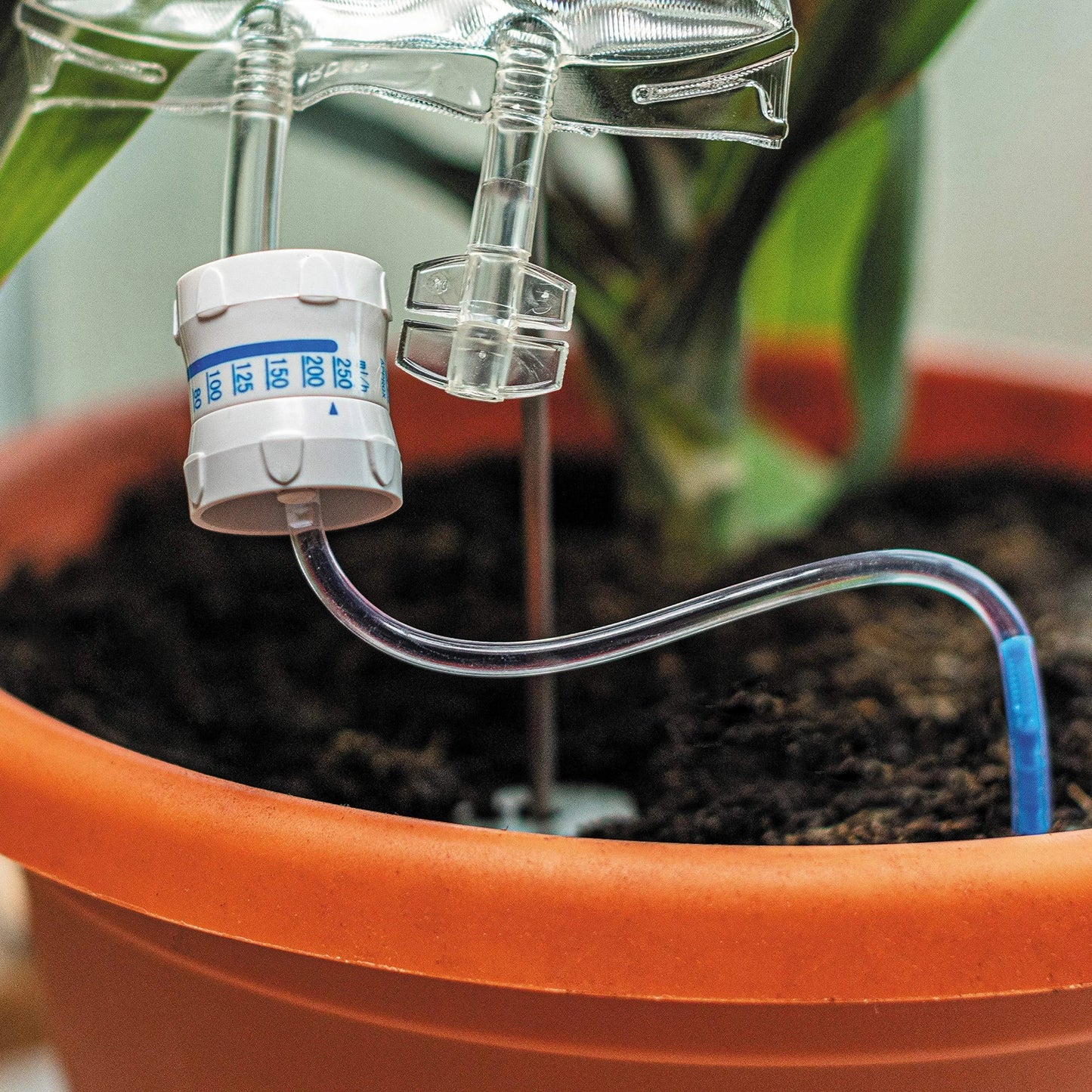 Drip irrigation watering bag for indoor plants, featuring a slow-release water system and compact, sustainable design.