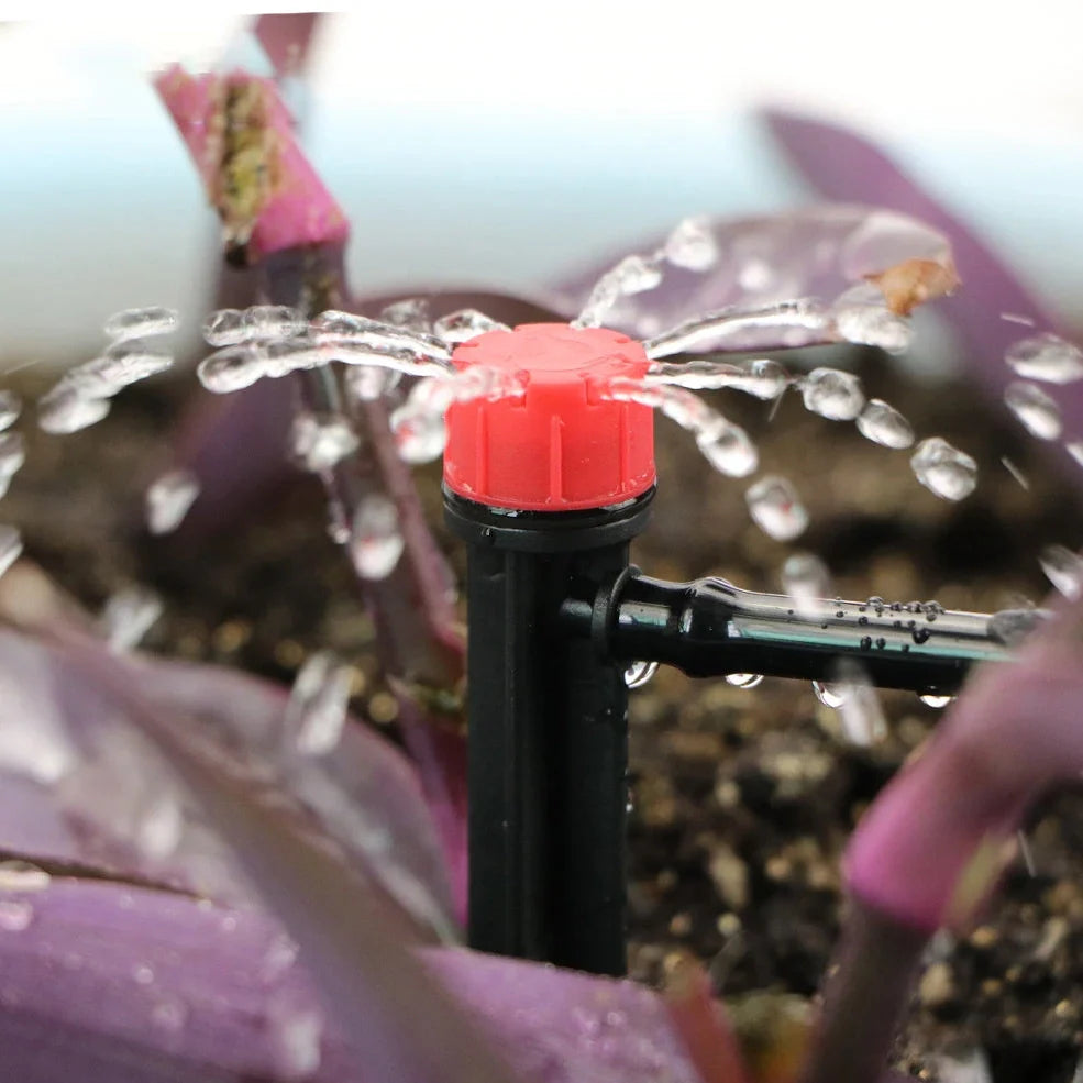 50-metre automatic garden irrigation system with timer, capillary tubing, and atomising nozzles for even plant watering