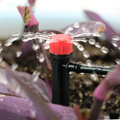 50-metre automatic garden irrigation system with timer, capillary tubing, and atomising nozzles for even plant watering