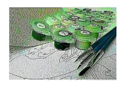 Apple and Chardonnay DIY digital painting kit with linen canvas, brushes, and paints in colour A1A